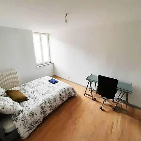 Apartman Duplex A Deux Pas De La Place Stanislas *